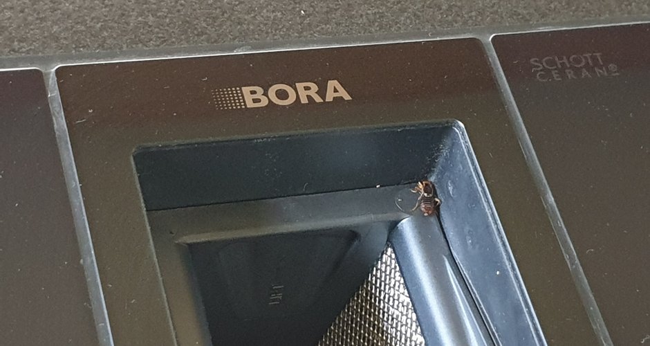 Bewertung Bora Classic 2.0