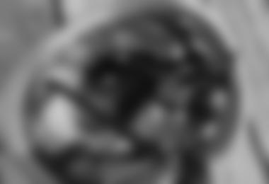 Innovatives Innenleben des Vapor Helms- man sieht die dünne Kordel, welche zur Stirnfläche führt