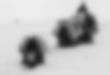 Yaks im Tiefschnee