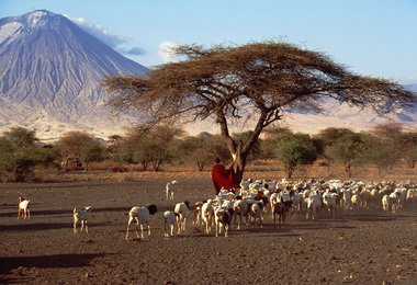 Sepp Friedhuber präsentiert seinen neuen Bildband "Die Berge Afrikas" © Sepp Friedhuber