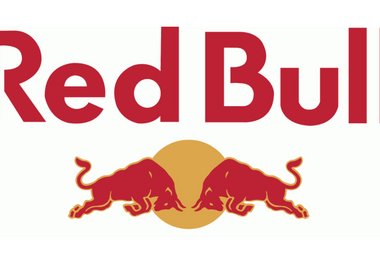Der Hauptunterstützer des Projektes