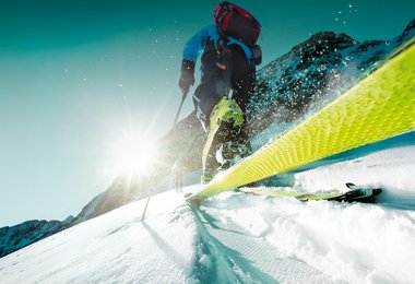 Fischer Profoil Plastik Skitourenfell