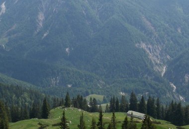 Blick zur Hinterkaiserfeldenalm - in Zukunft vielleicht mit dicker Forststraße