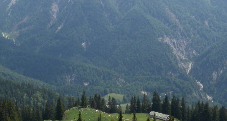 Blick zur Hinterkaiserfeldenalm - in Zukunft vielleicht mit dicker Forststraße