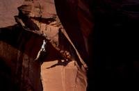 matjaz jeran in supercat © gerhard schaar