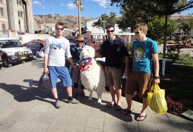 In Huaraz mit einem Alpaca