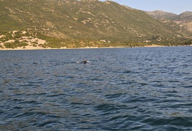 12,7 km Freiwasserschwimmen von Bobovište (Montenegro) nach Sterbeq (Albanien)