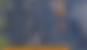 Wandübersicht Golden Delicious - Rienzwand