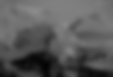 REPORTAGE- Patagonien