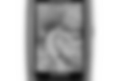 Garmin GPSmap 62