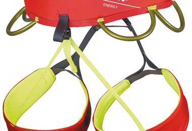 Die Rückenansicht des Engery Hüftgurtes
