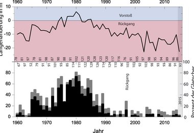 Die mittlere Längenänderung und die Anzahl der vorstoßenden (schwarz), stationären (grau) und zurückschmelzenden (Hintergrundfarbe) der beobachteten Gletscher von 1960 bis 2015.   Grafik: Alpenverein/A.Fischer