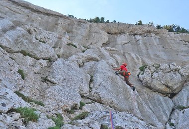 An der rauen, steilen Wand der Reiteralpe.