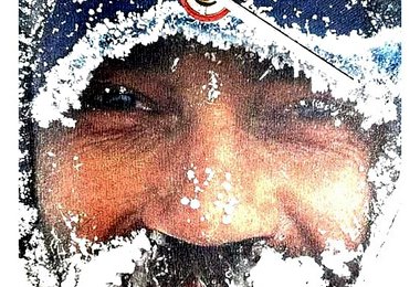 Der Bulle Oswald Oelz