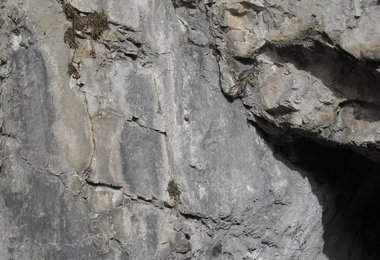 Ein Dübel, hier wurde die Bohrlasche entfernt