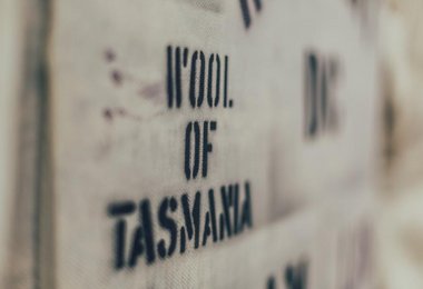 Ortovox Merino Wolle aus Tasmanien (Foto: Ortovox)