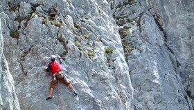 Im unteren Teil der Blindschleich an der Steinplatte.