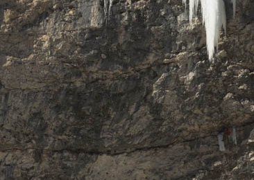 Albert Leichtfried im Eisteil; Foto: Hermann Erber
