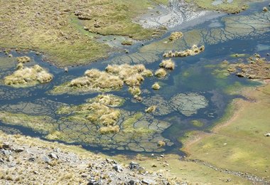 Wasser wie in einem Adersystem