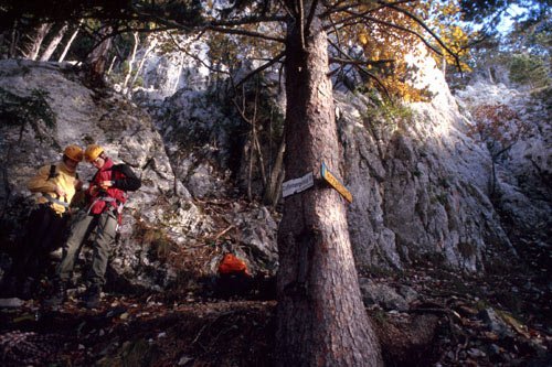 Grafenbergsteig