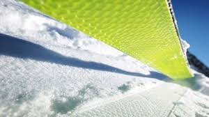 Die Schuppen des Fischer Profoil.