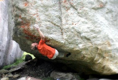 Gesucht – gefunden. Zu Hause in den Alpen. Foto © A. Hechenberger