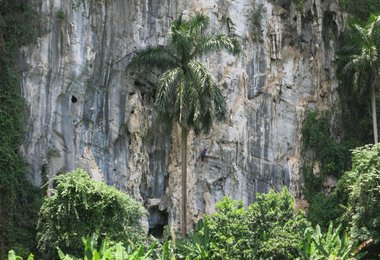 Neues Gebiet in der Palenque area (c) Andreas Jentzsch
