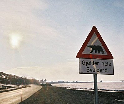 Eisbären-Warntafel auf Spitzbergen - da darf man sich auf einiges gefasst machen.