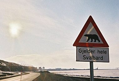 Eisbären-Warntafel auf Spitzbergen - da darf man sich auf einiges gefasst machen.
