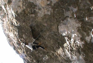 Markus in Law and Order