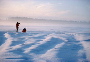 Die kalte Winterlandschaft Alaskas