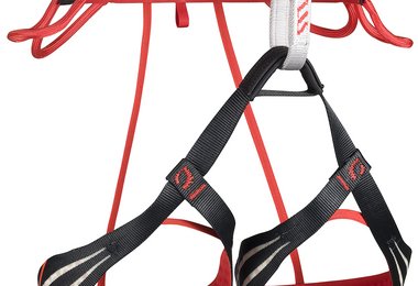 Flash (Foto: C.A.M.P)