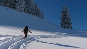 Zinken Ramertal Skitour