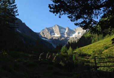 Rekord am Grundschartner (3061 m)  im Zillertal