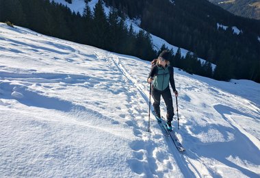 Mit den Vario Gläsern der Trailsense II von Evil Eye hat man bei allen Lichtverhältnissen den vollen Durchblick.