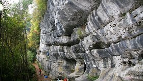 Im Klettergarten Rosenbach