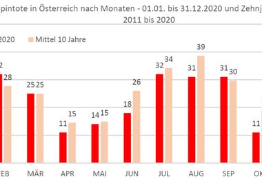 Alpintote in Österreich nach Monaten — 01.01. bis 31.12.2020 und Zehnjahresmittel 2011 bis 2020