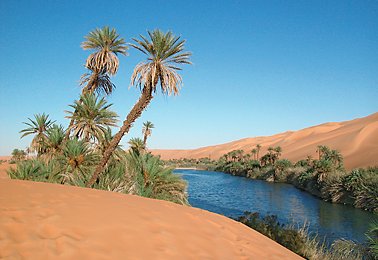 Wüstenreisen mit Profis