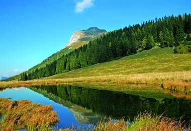 Buchtipp: Nationalparkregion Gesäuse – Vielfalt zum Staunen