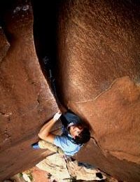 gerhard in cat wall 1 © gerhard schaar