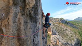 Hulk Team Demence - Verdon