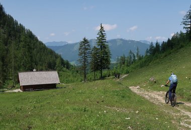 Mit dem Mountainbike auf der Unteren Edtbauernalm