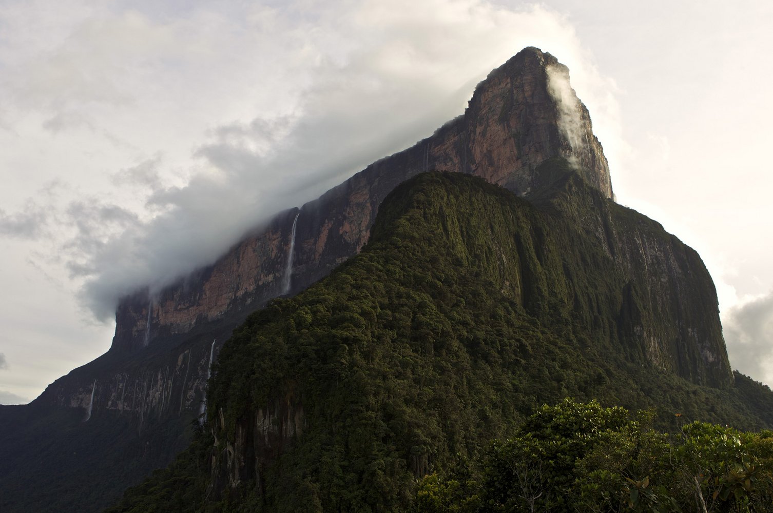 Самый высокий водопад гвианском плоскогорье. Венесуэла плато Рорайма. Венесуэла горы Тепуи. Венесуэла парк Канайма гора Рорайма. Гвианское плоскогорье Бразилия.