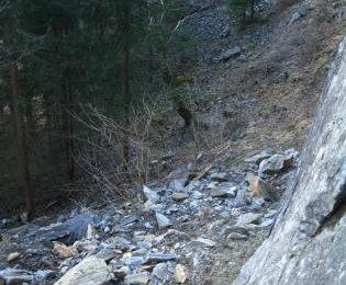 Felssturz im Klettergarten „Kreuzwand“ im Maltatal