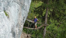 Die Holzbrücken zum Baum