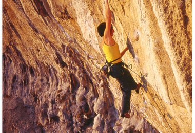 "Lahko noc irena" in Osp