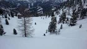 Skitour Peitlernock Normalroute 