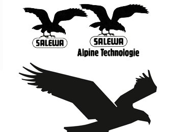Das Salewa-Logo im Wandel der Zeit.