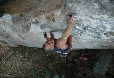 Volker in "Papaya Tre"