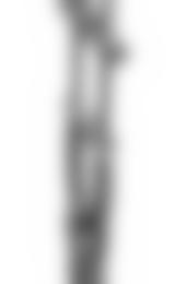 Metolius Ultralight Cams